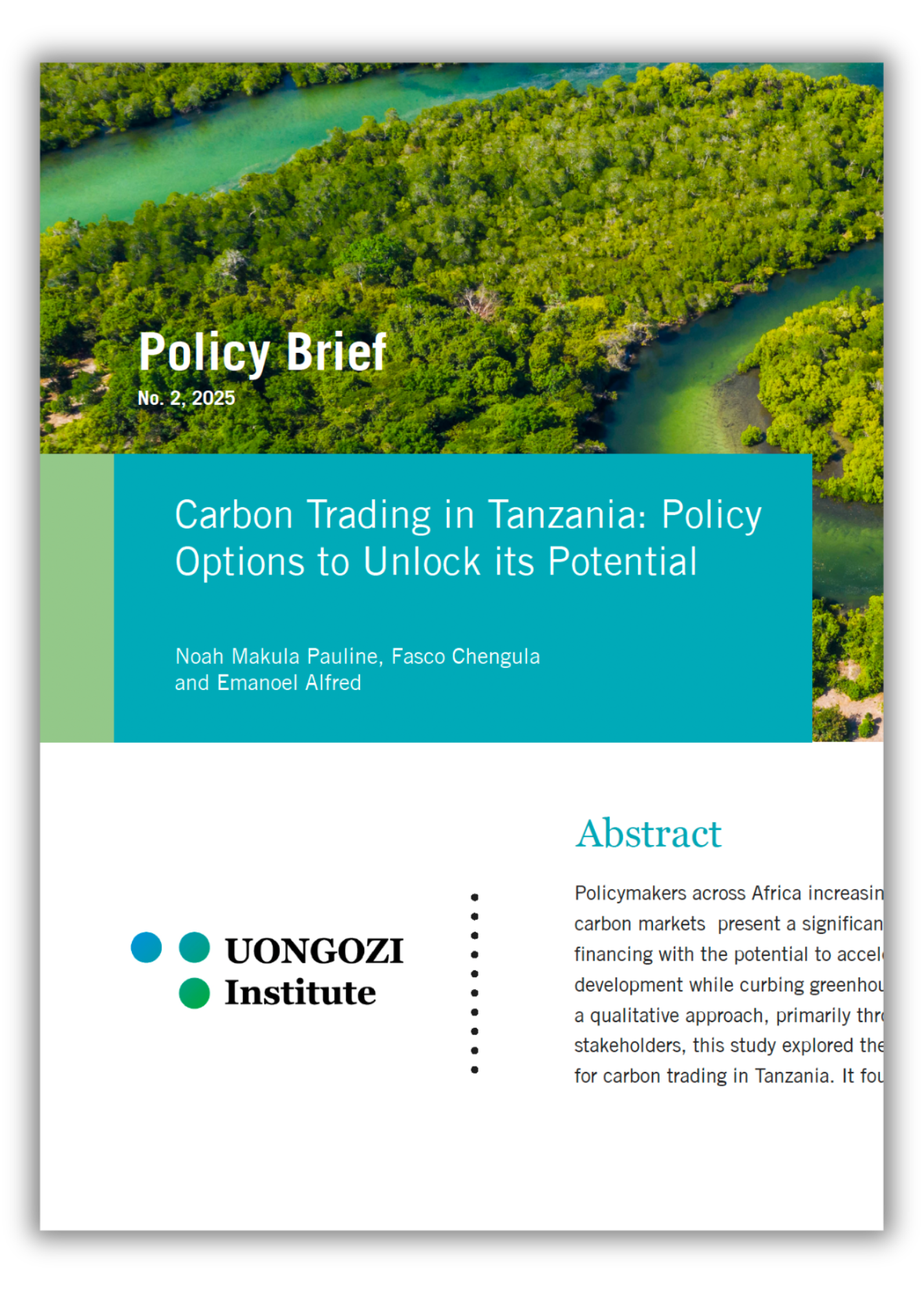 Carbon trading policy brief