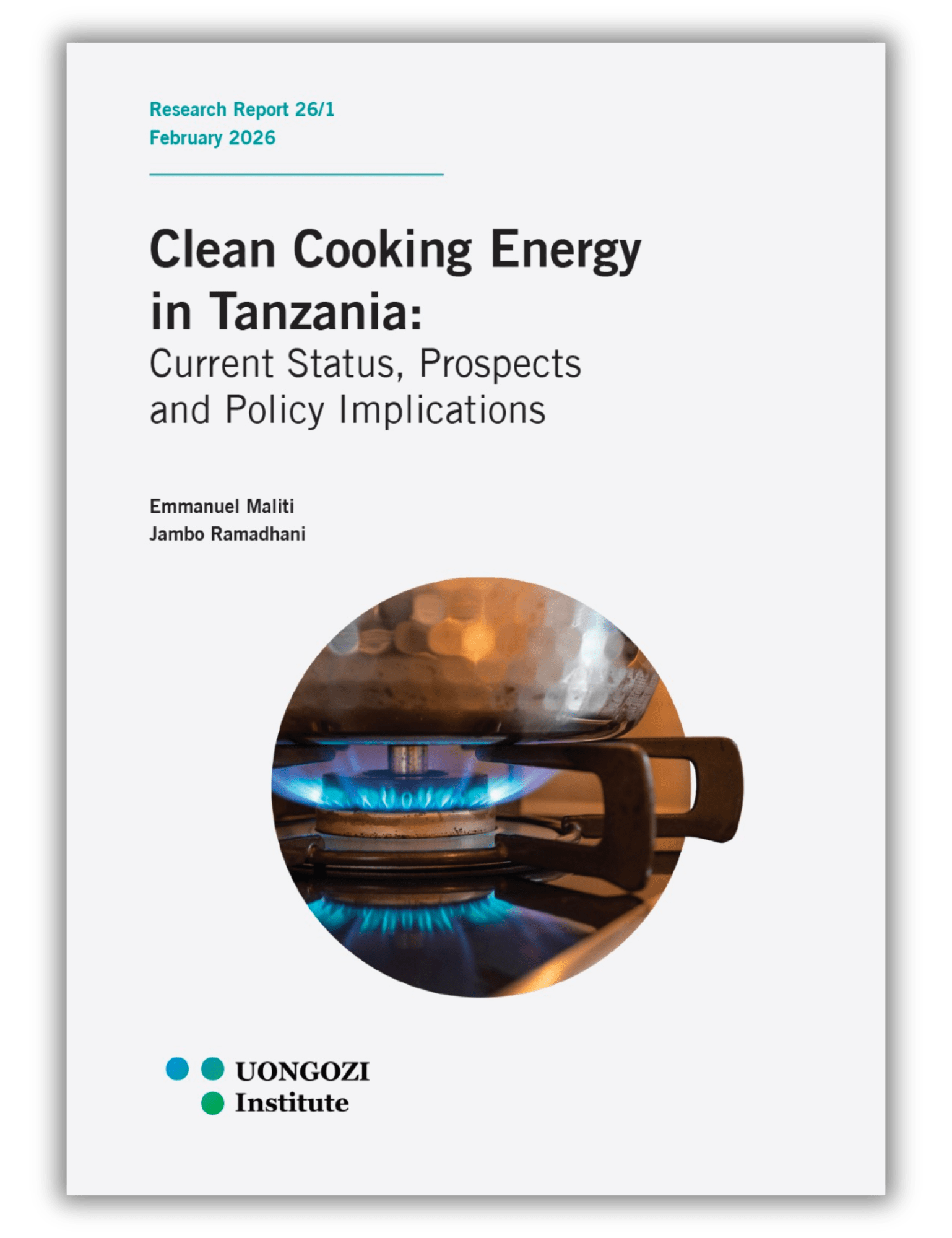 Clean cooking energy in Tanzania