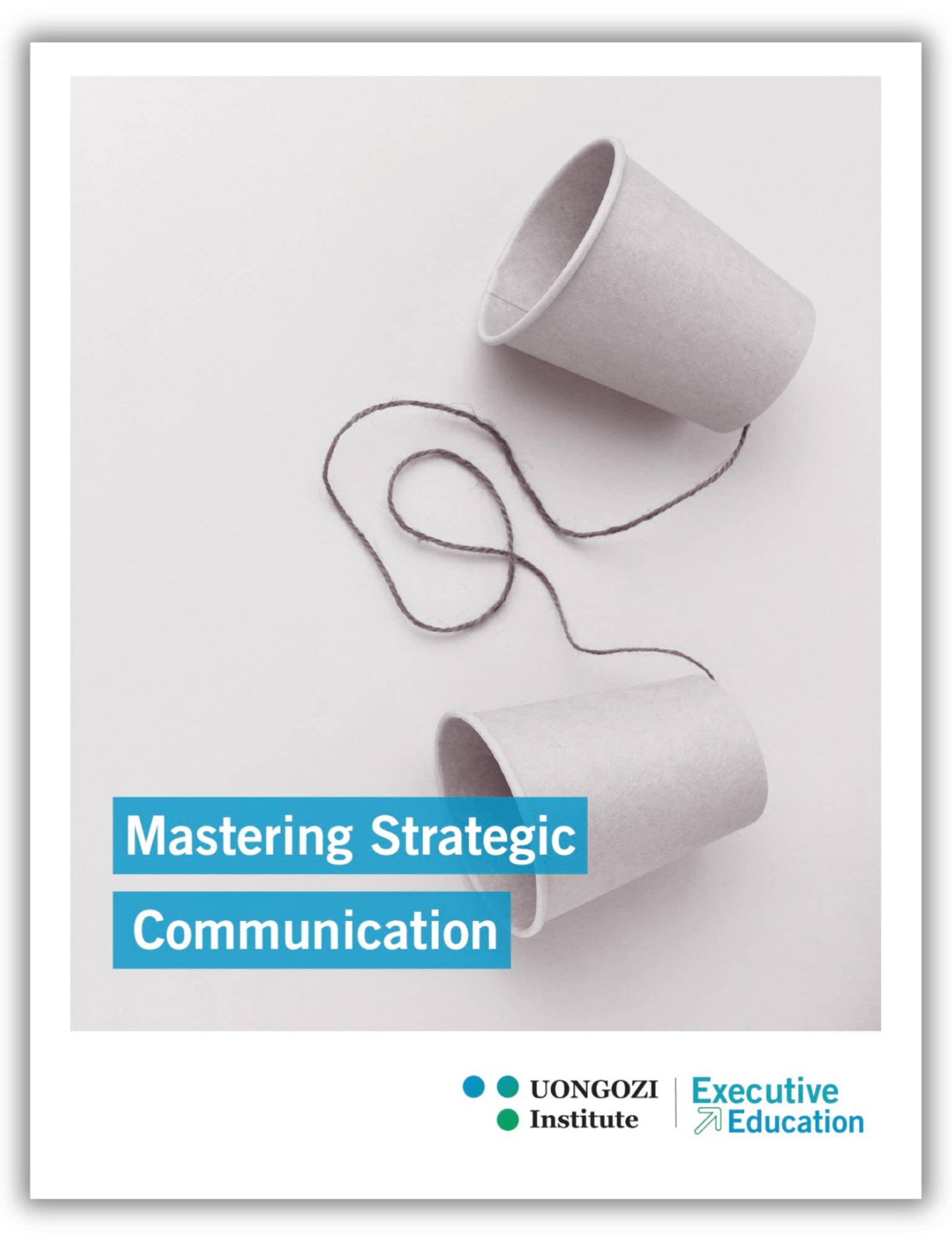 Mastering strategic communication